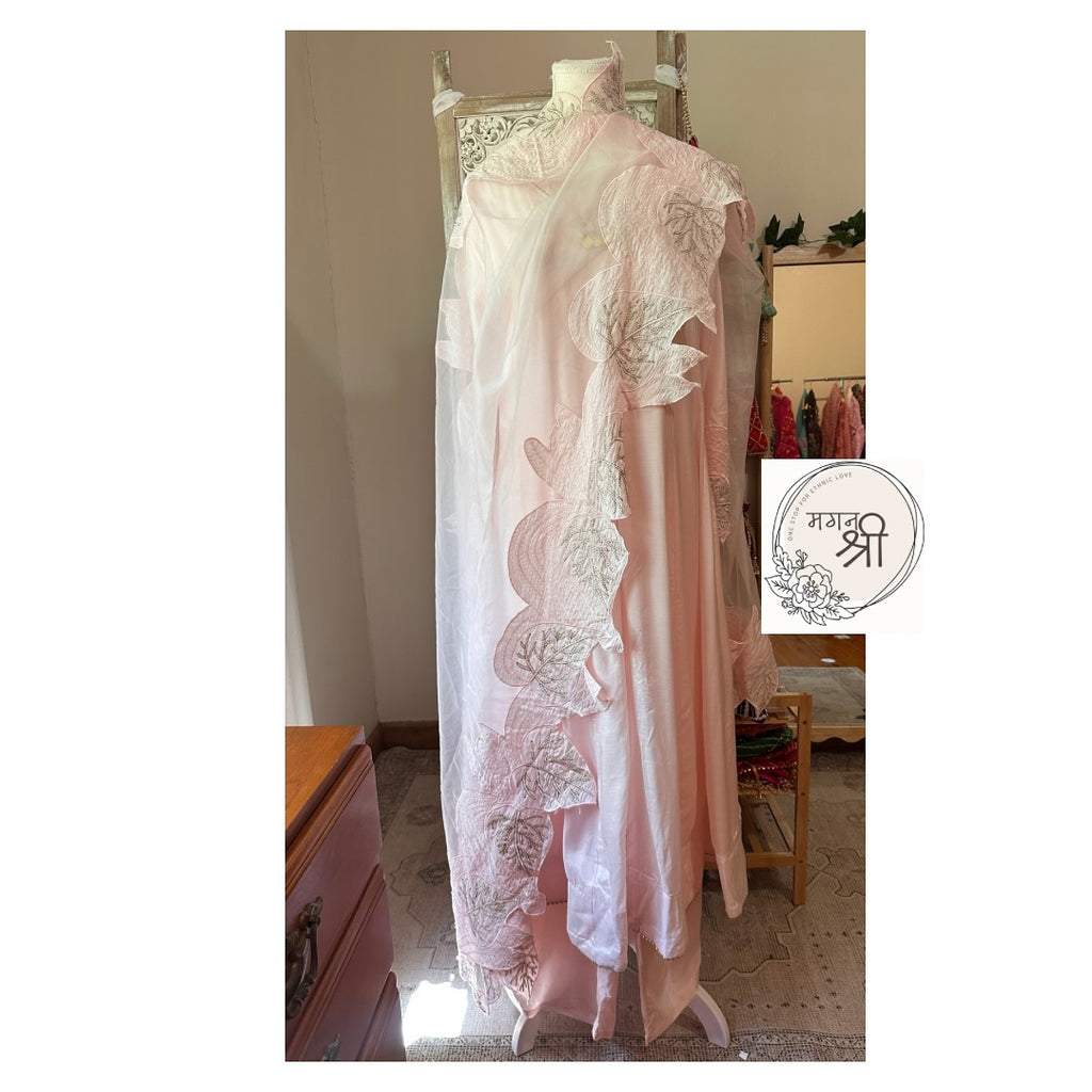 Gulab Pari — Blush Pink Organza Dupatta Kurta Set