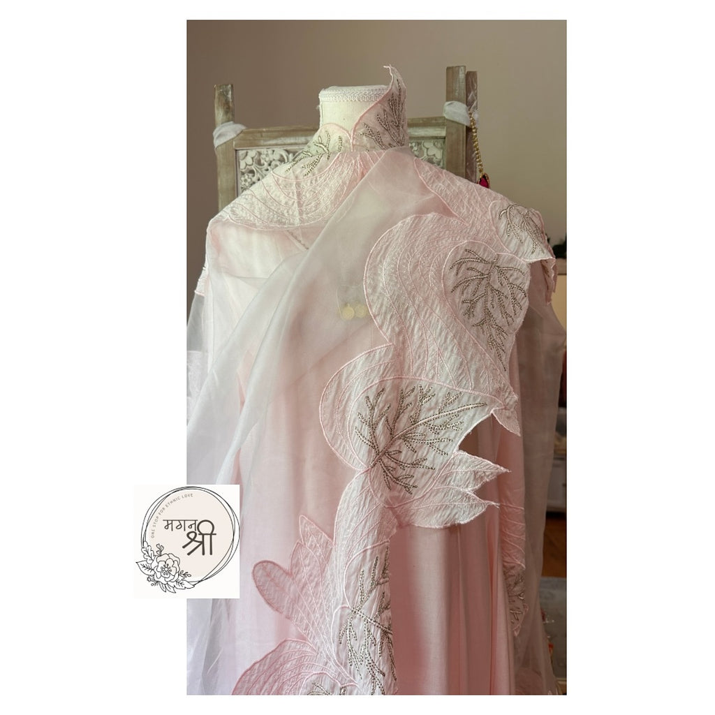 Gulab Pari — Blush Pink Organza Dupatta Kurta Set